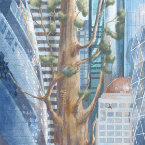 国产高清舔逼视频
